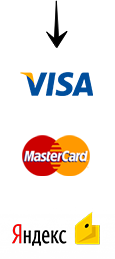 VISA MasterCard YandexMoney